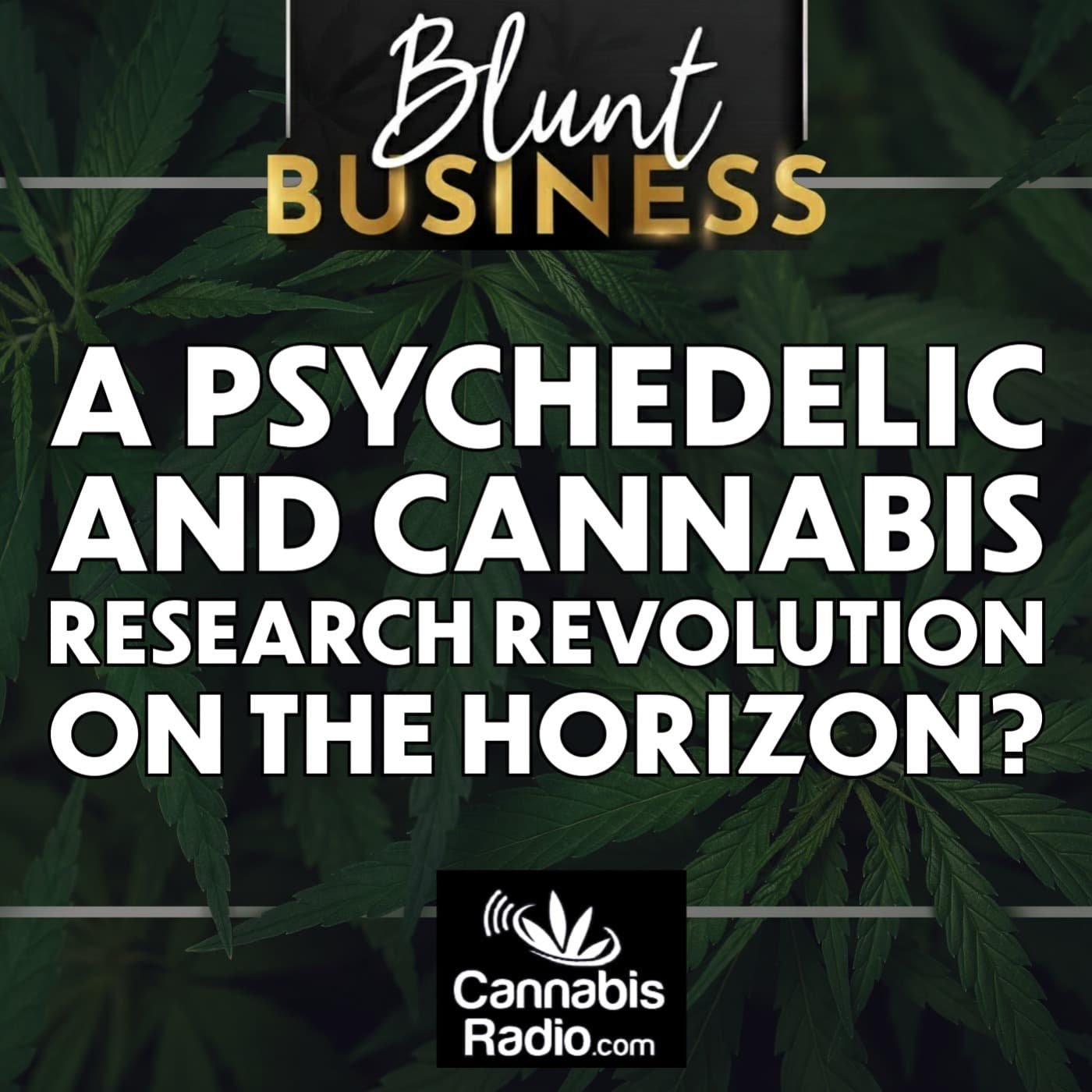 A Psychedelic and Cannabis Research Revolution On the Horizon?