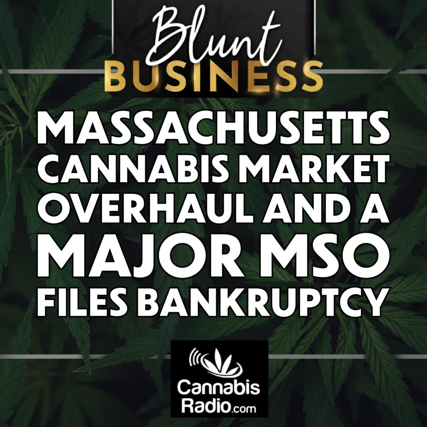 Massachusetts Cannabis Market Overhaul and a Major MSO Files Bankruptcy