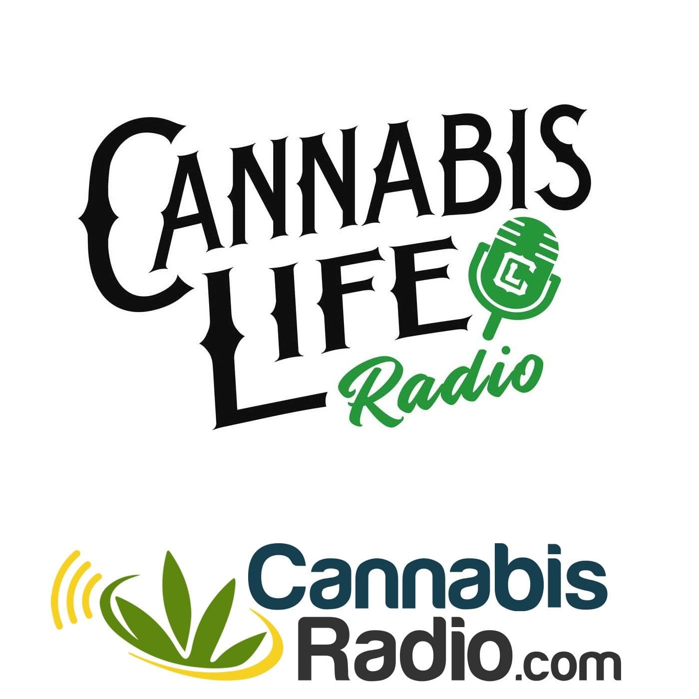 Educate Yourself on Autoflowering; Passing Medical Marijuana...