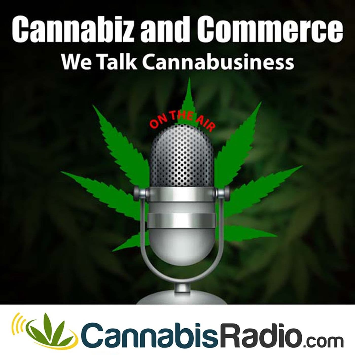 Petitioning for PTSD as a Qualifying Condition for Medical Marijuana in Arizona