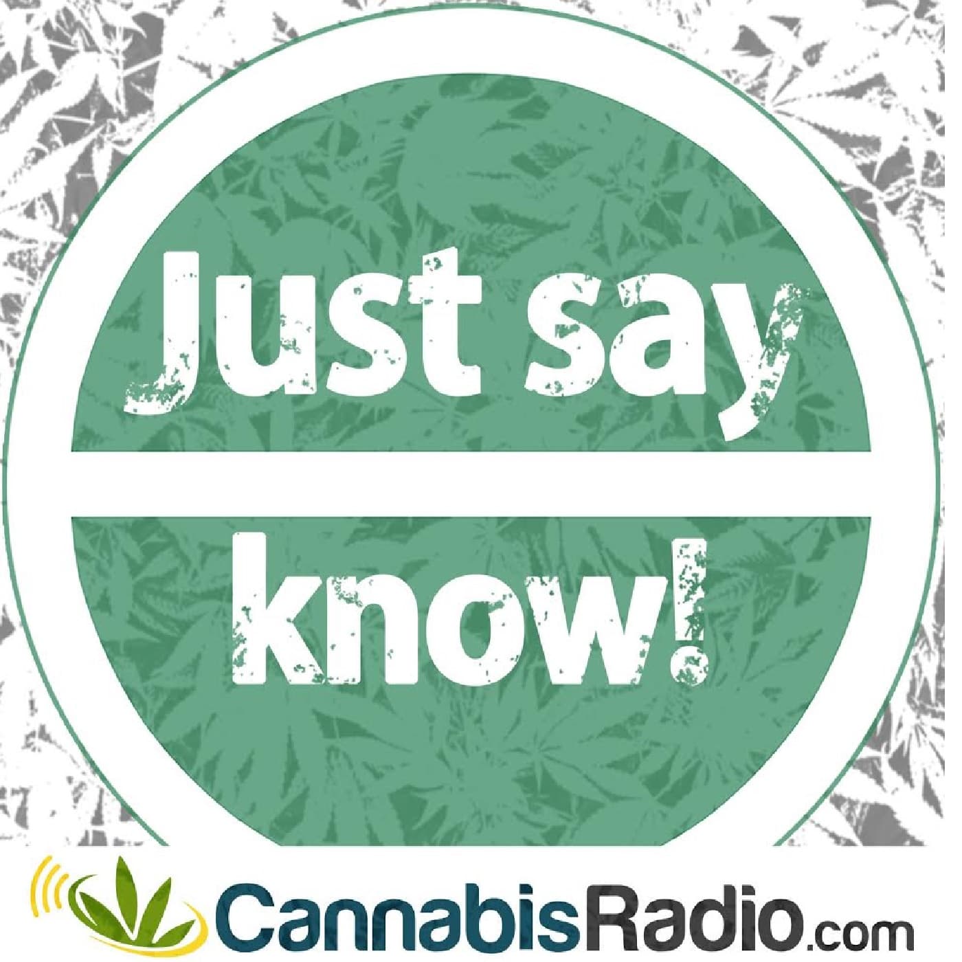 Just Say Know