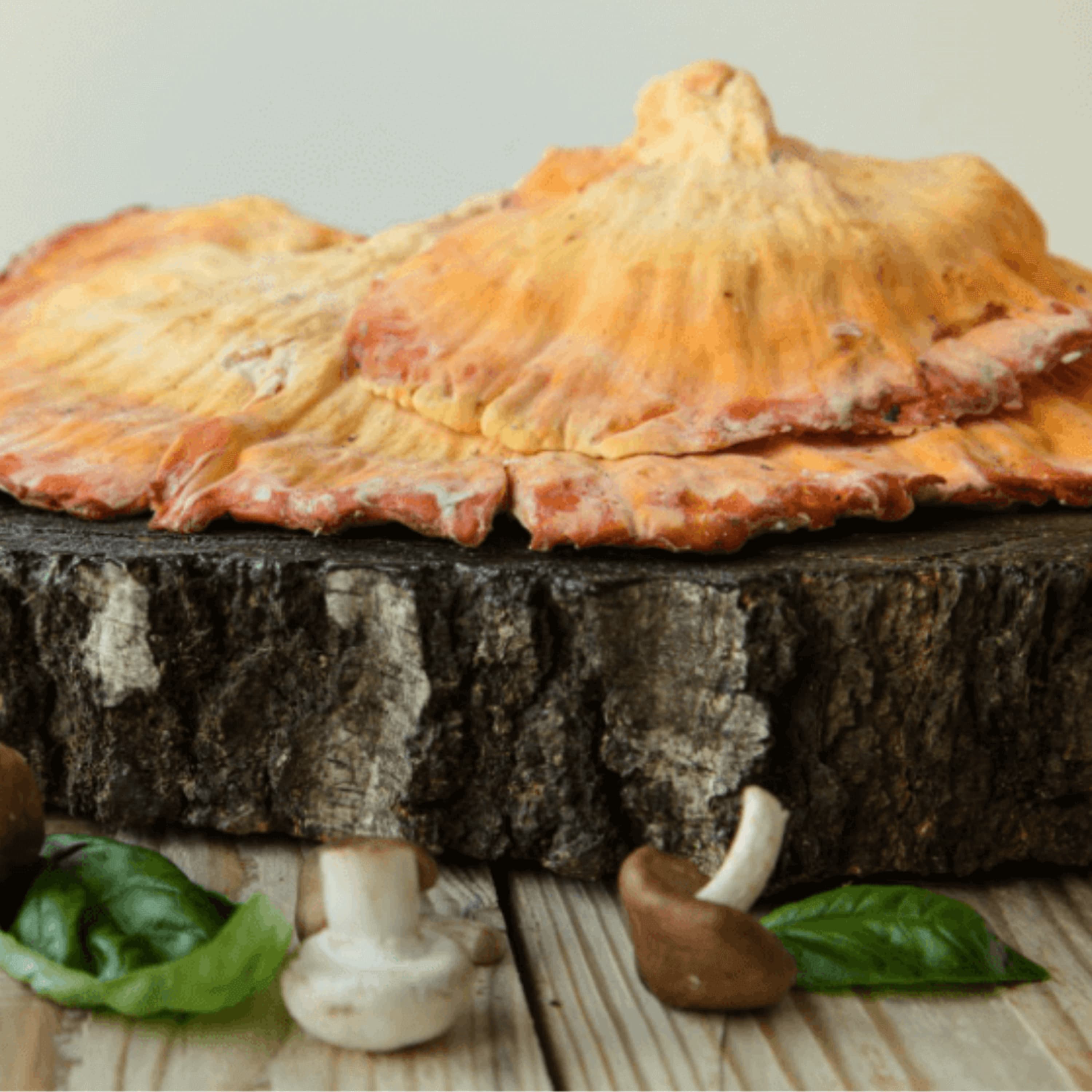 How To Cook Chicken of the Woods Mushroom | 3 Healthy Ways