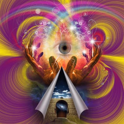 Introduction to The Mushroom Spiritual Experience & Waking Up