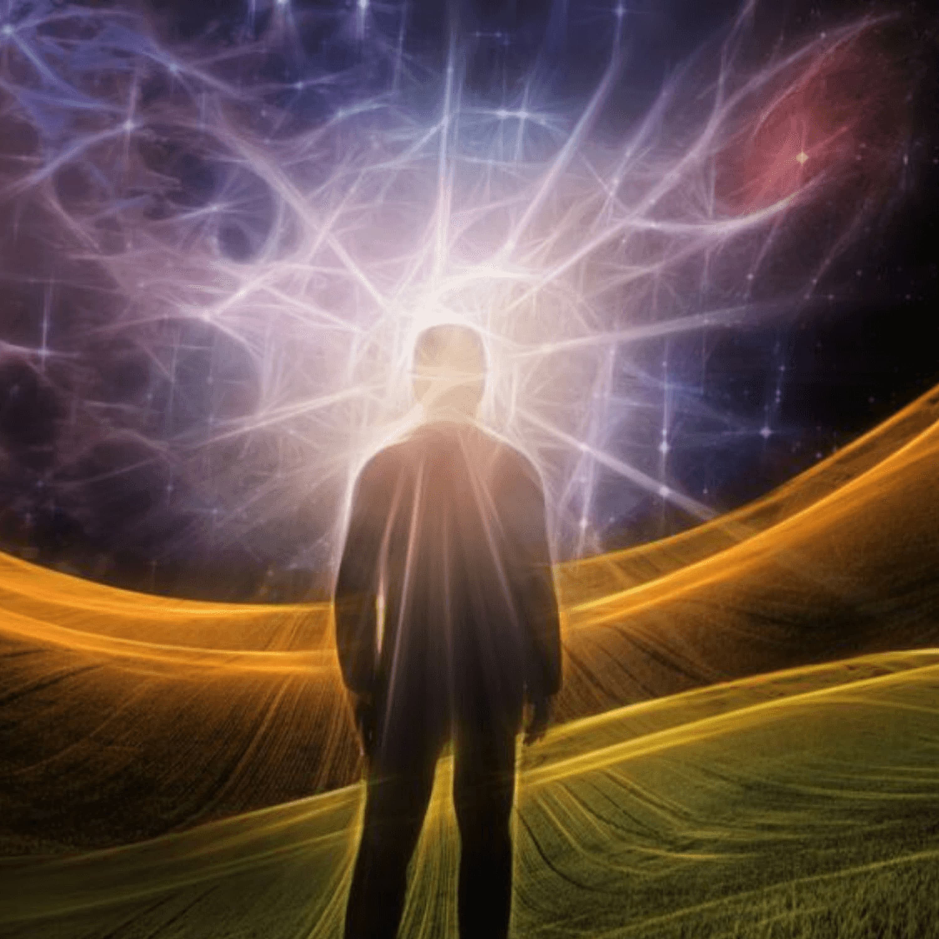 Magic Mushrooms Side Effects | Brain & Body Long Term Effects