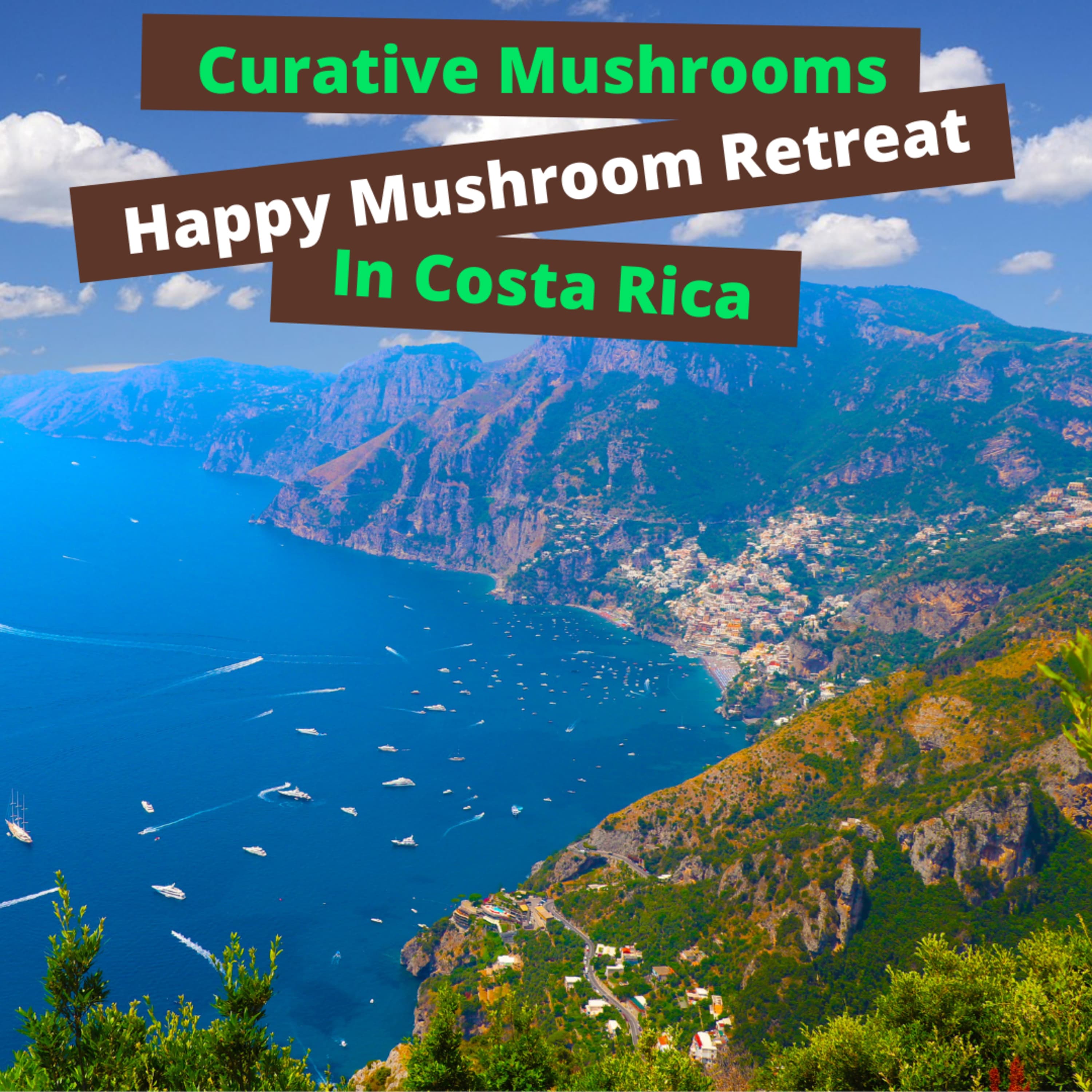Happy Mushroom Retreat In Costa Rica