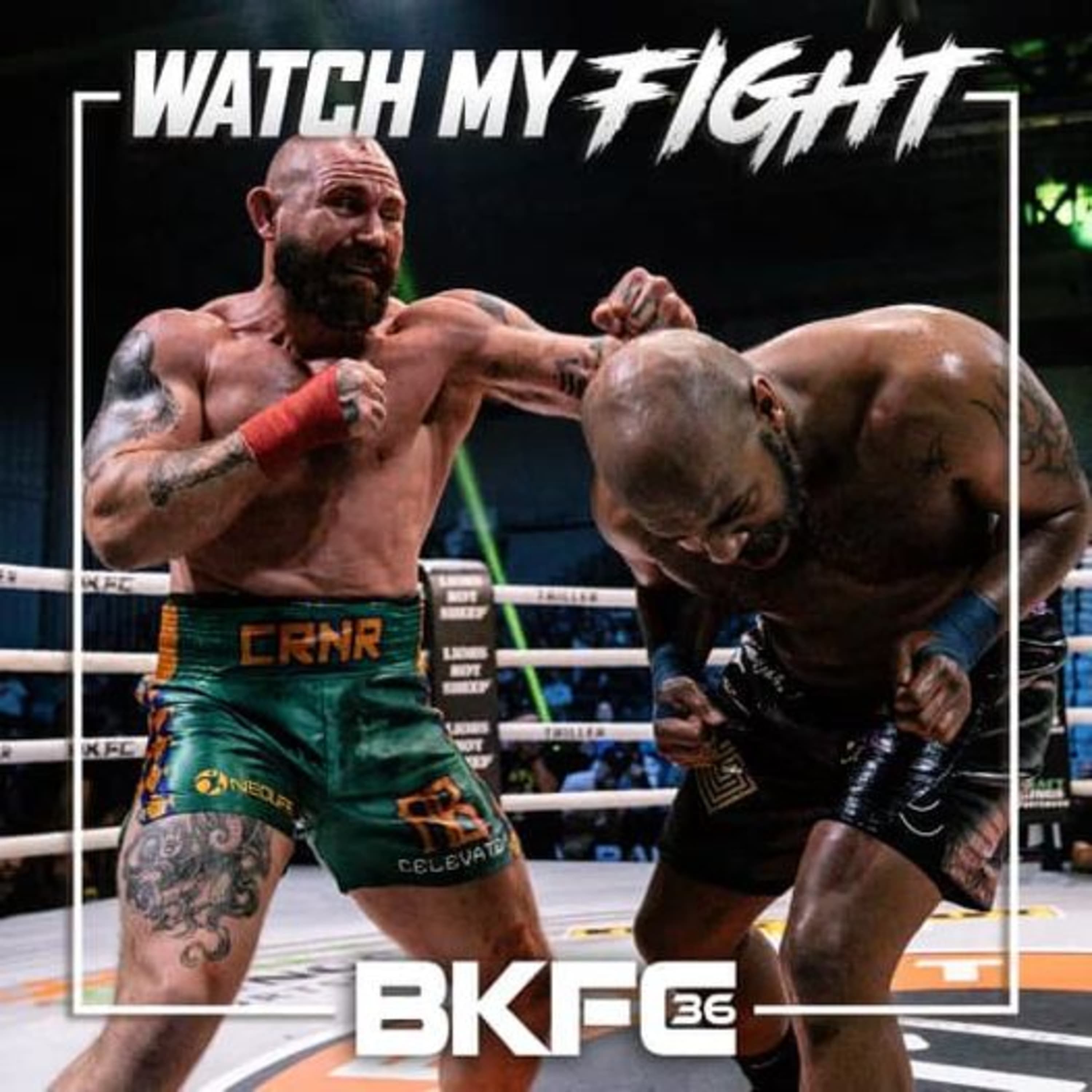 Happy Mushroom Dosage & Experiences With Alan Belcher #2