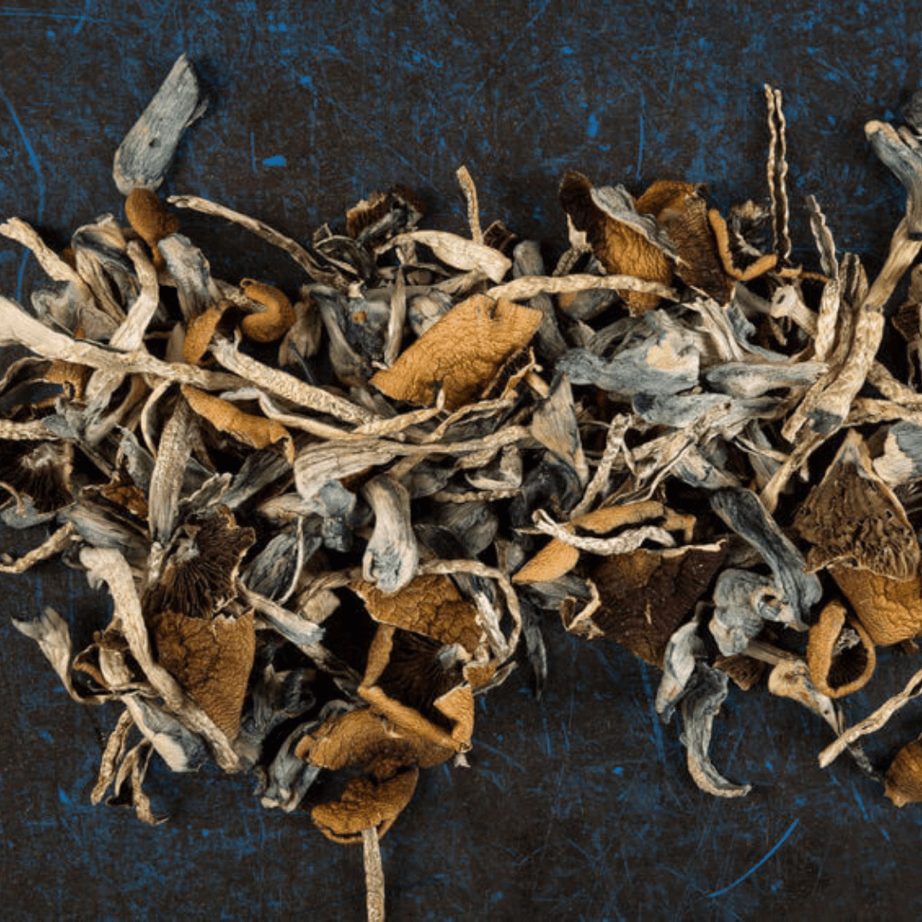 Magic Mushroom Dosage | Heroic Dose & Microdosing Correctly