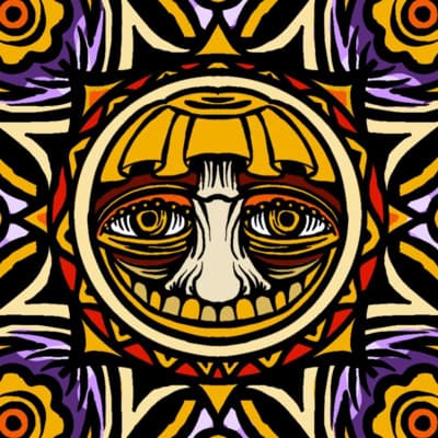 Happy Mushroom Spore Syringes With Nichy Myco