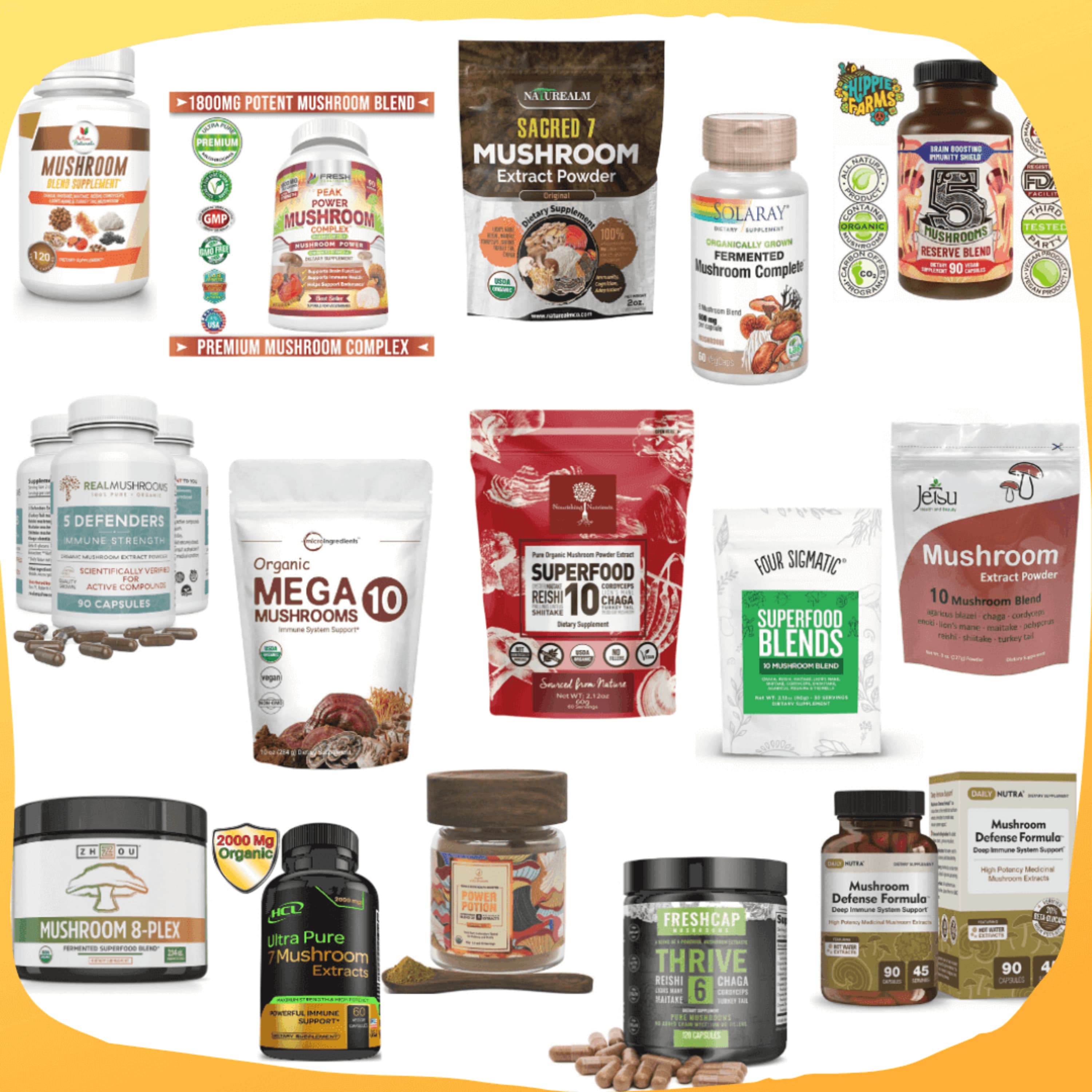 Best Mushroom Supplement Blends of 2020