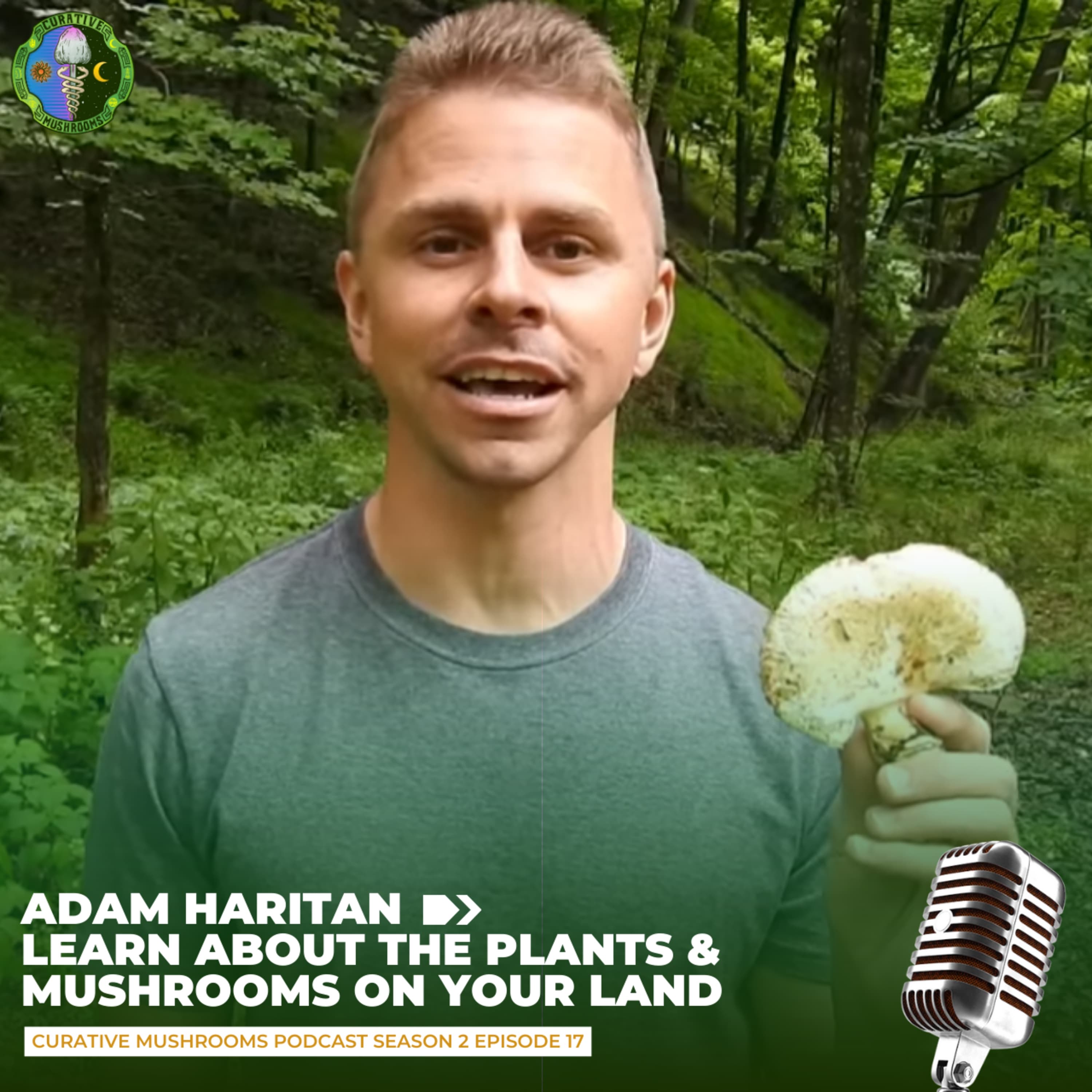 Foraging Wild Mushrooms Can Boost Your Mind With Adam Haritan