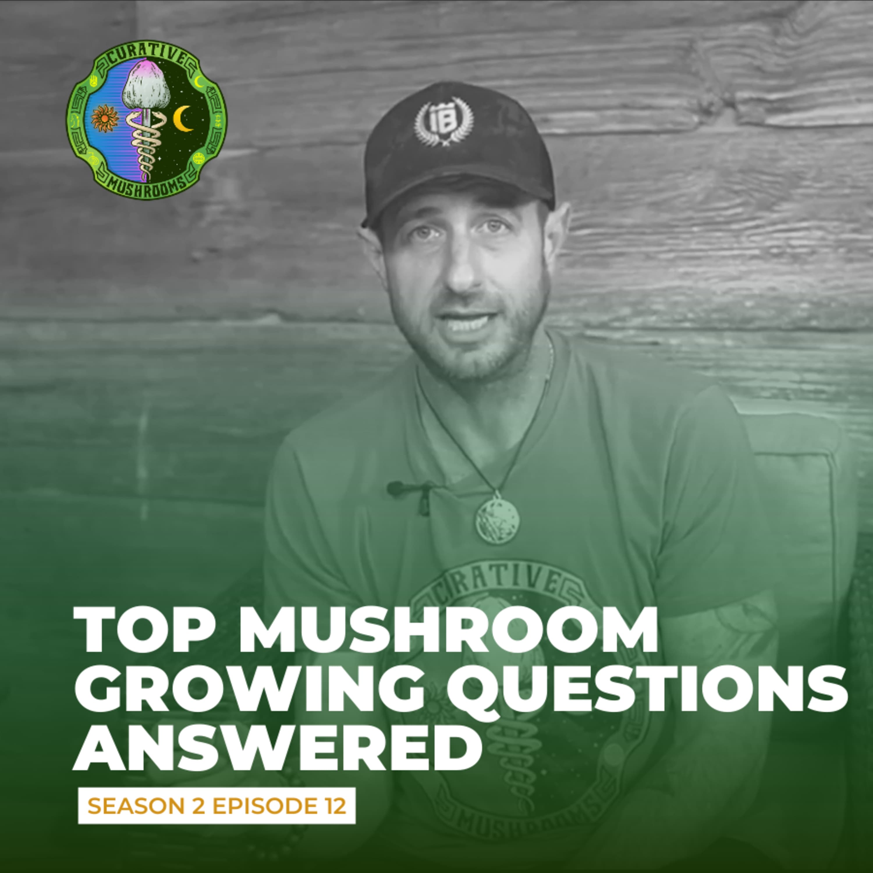 Answering The Most Common Mushroom Growing Questions