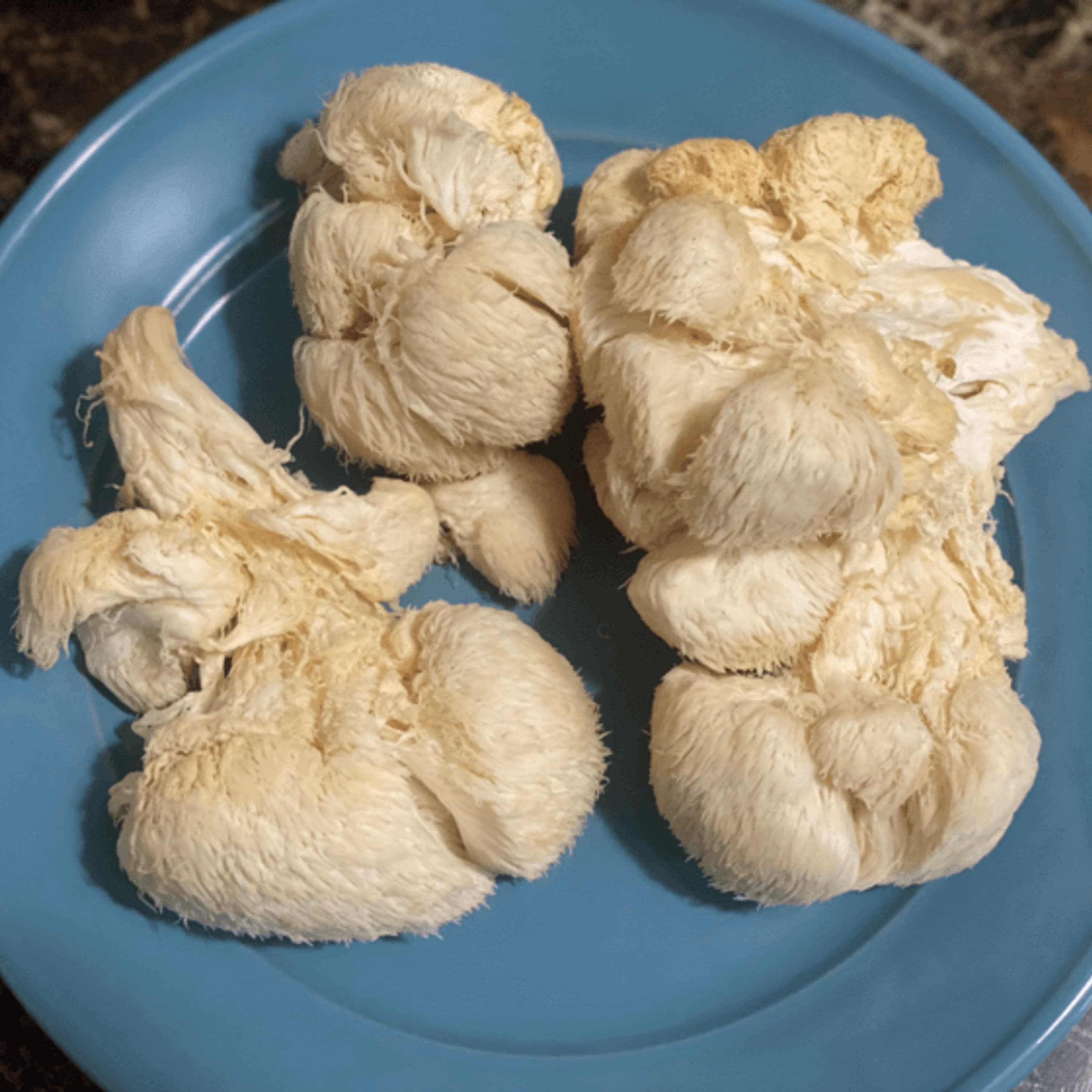 How To Cook Lion's Mane Mushroom