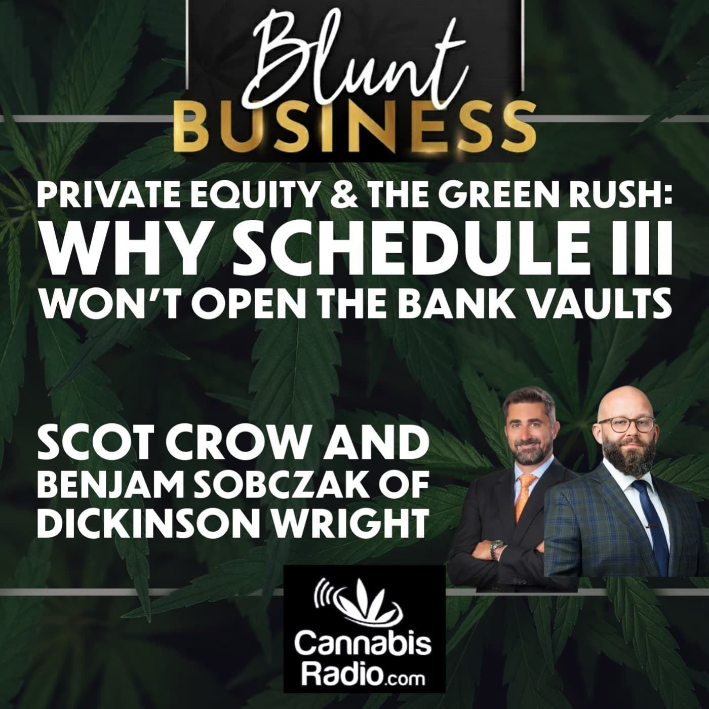 Private Equity & The Green Rush: Why Schedule III Won't Open the Bank Vaults